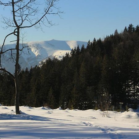 Chata Donovaly Buly 242/C Экстерьер фото
